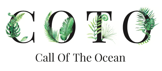 store_logo